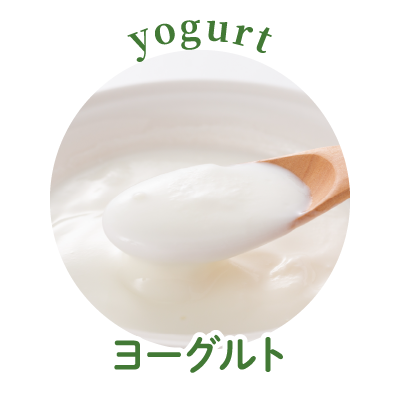 ヨーグルト